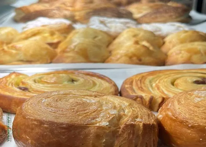 Galluppi 23 科森扎